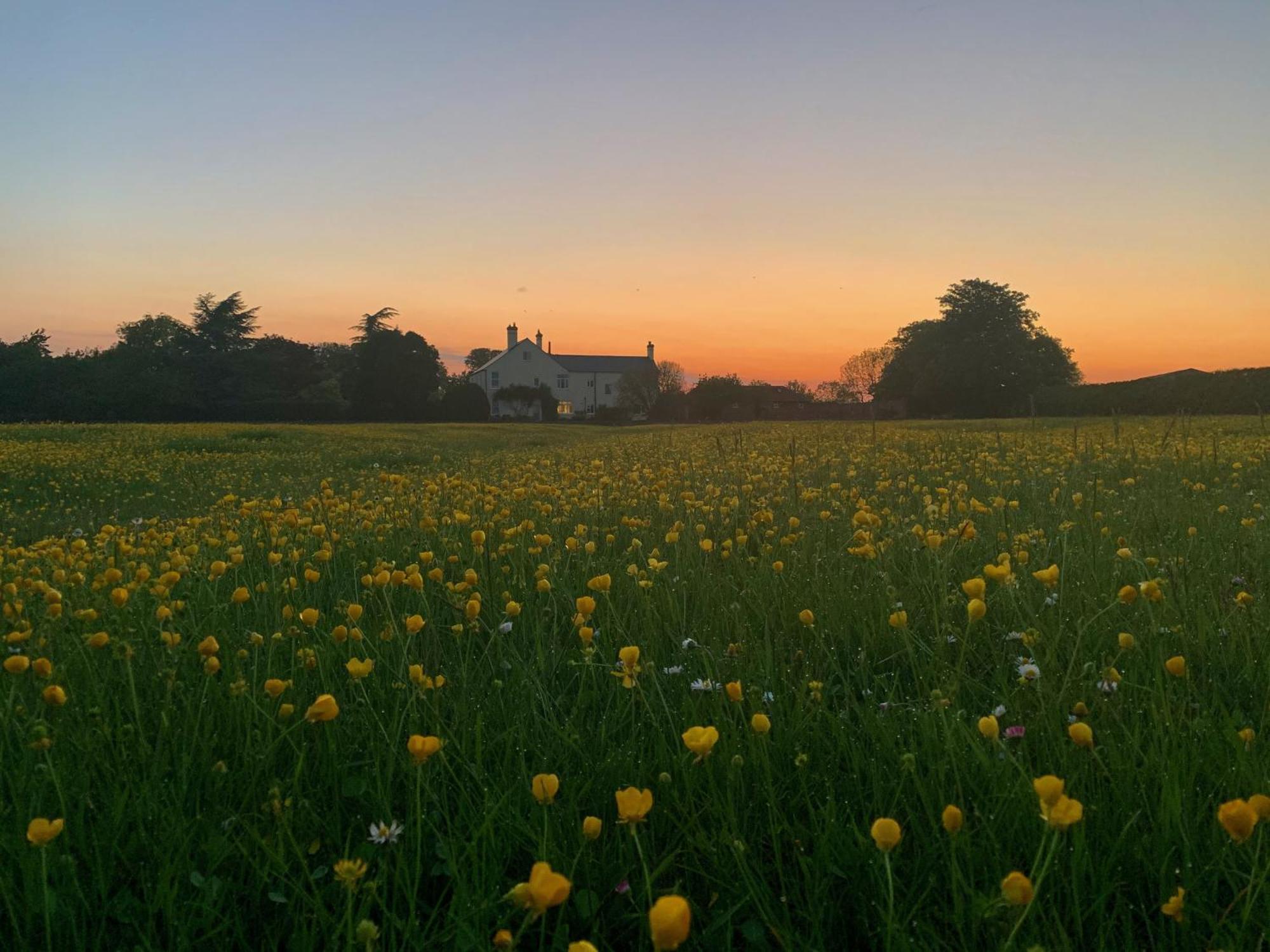 The Chestnuts Country House Boutique B&B Kilvington Extérieur photo